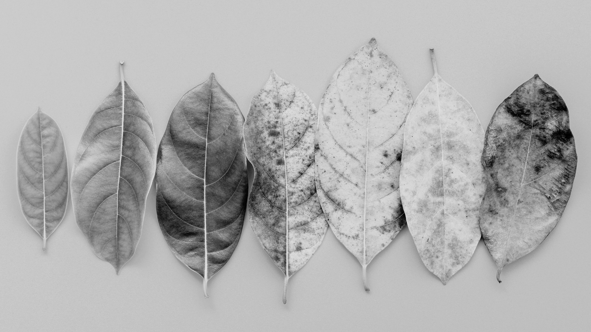 From change fatigue to change fluency